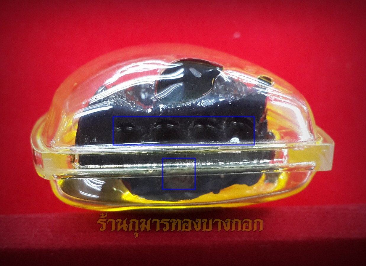 กุมารีมหาวีโร รุ่น8