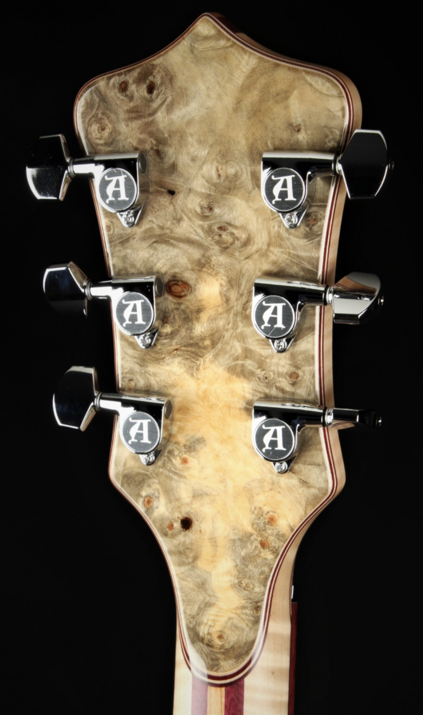 Alembic Further - Buckeye Burl