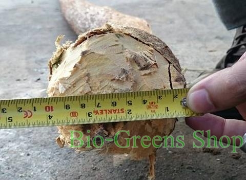 เครื่องบดย่อยสับกิ่งไม้และท่อนไม้ รุ่น 560