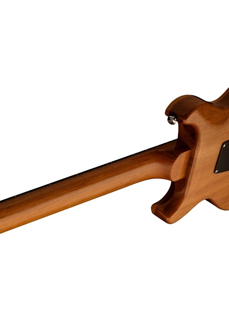 PRS SE Carlos Santana Electric Guitar