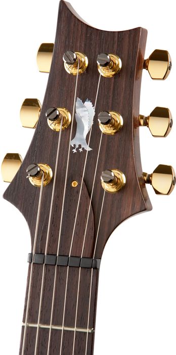 Paul Reed Smith Experience 2010 Custom 24 Wide-Thin Neck with Birds Electric Guitar