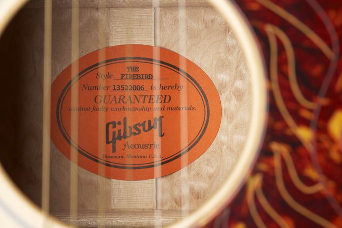 Gibson Custom Firebird Custom Acoustic Guitar