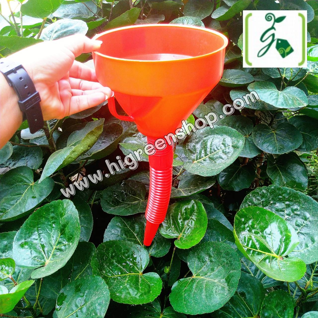 กรวยน้ำมันคอปรับได้ ขนาด 6 นิ้ว (มีตระแกรงด้านใน) /แพ็ค 2 อัน