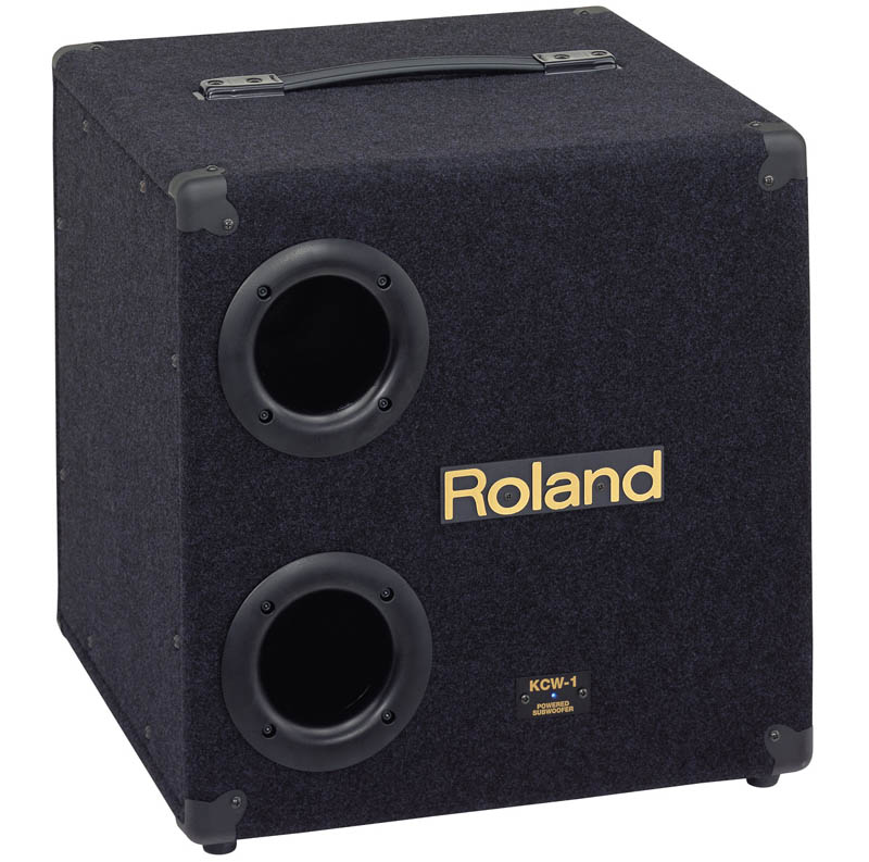 Roland KCW-1 200W Keyboard Subwoofer