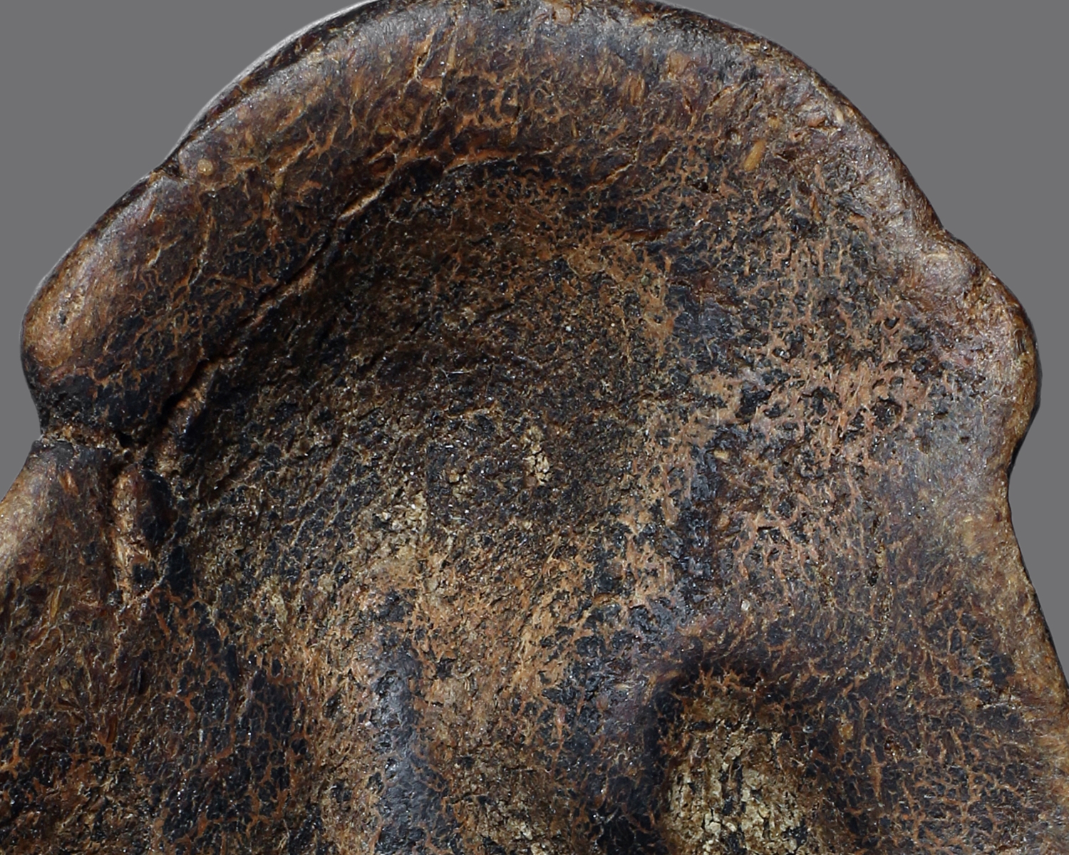 พระปิดตาหลวงพ่อแก้ว เนื้อกะลา วัดเครือวัลย์ จ.ชลบุรี (โชว์พระ)