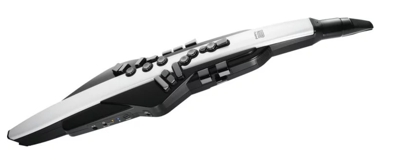 Roland Aerophone AE-20 Digital Wind Instrument