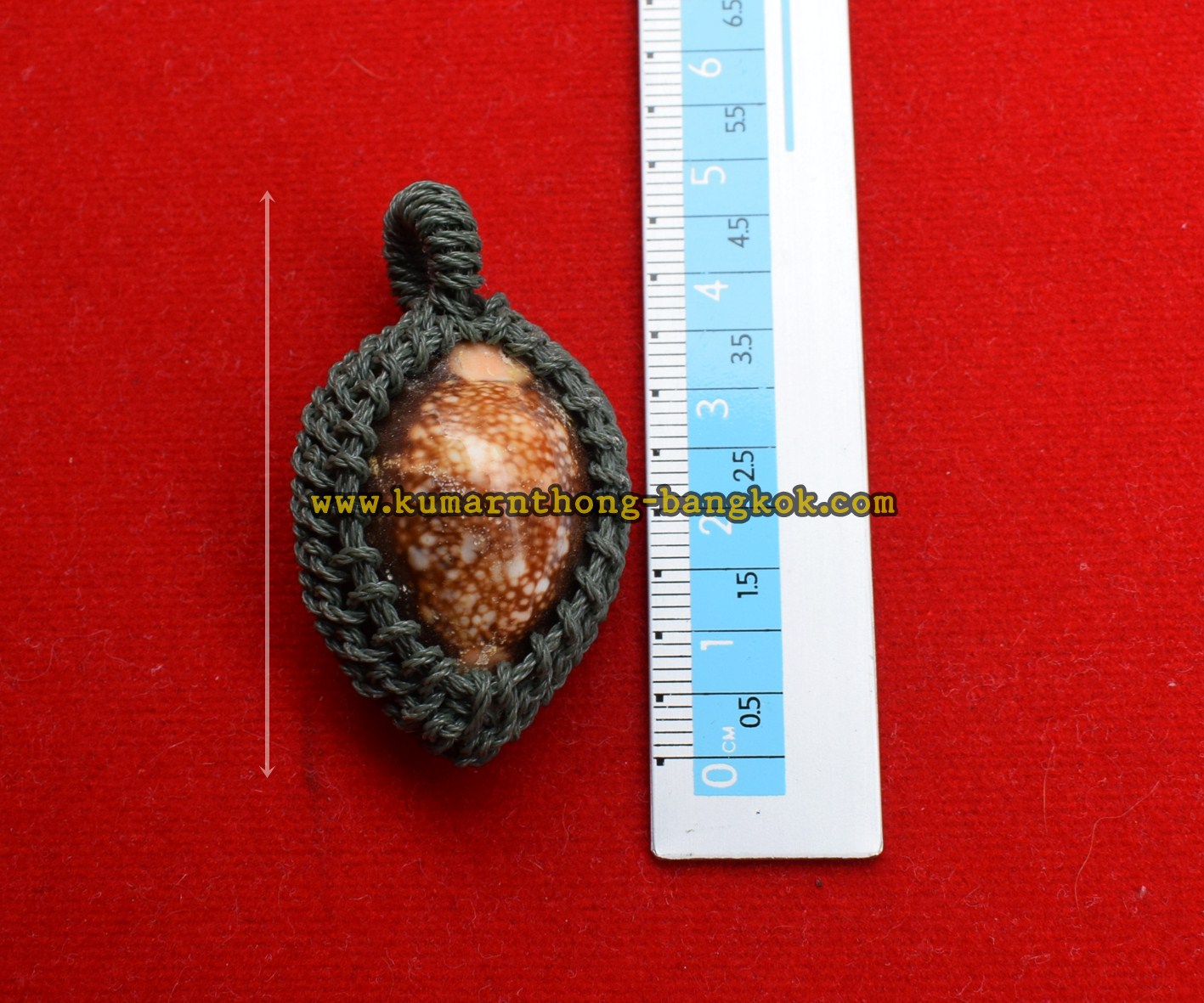 เบี้ยแก้ ถักเชือก วัดบางพระ (หลวงพ่อเปิ่น) จ.นครปฐม ขนาดพกพา สูง 4.5ซม. กว้าง 2.5ซม. ออกบูชาพิธีไหว้ครู ปี 2548-2550