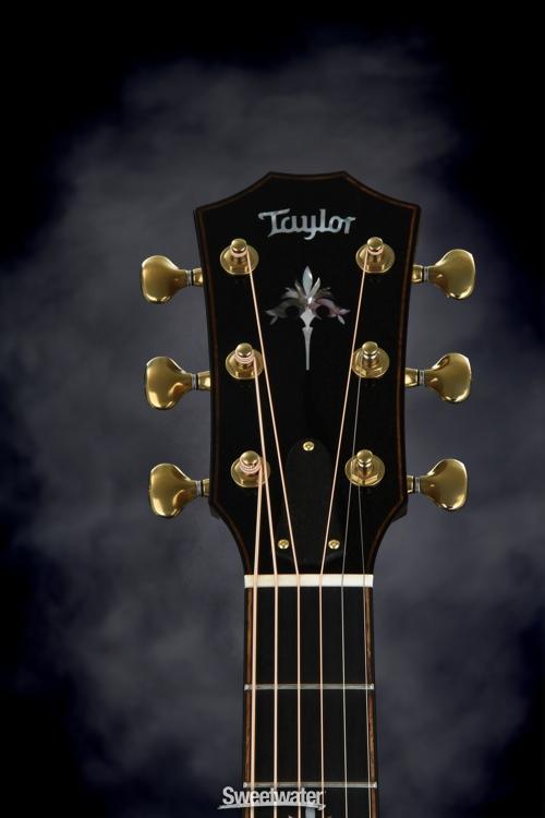 Taylor 916ce Milagro Brazilian Rosewood - Natural