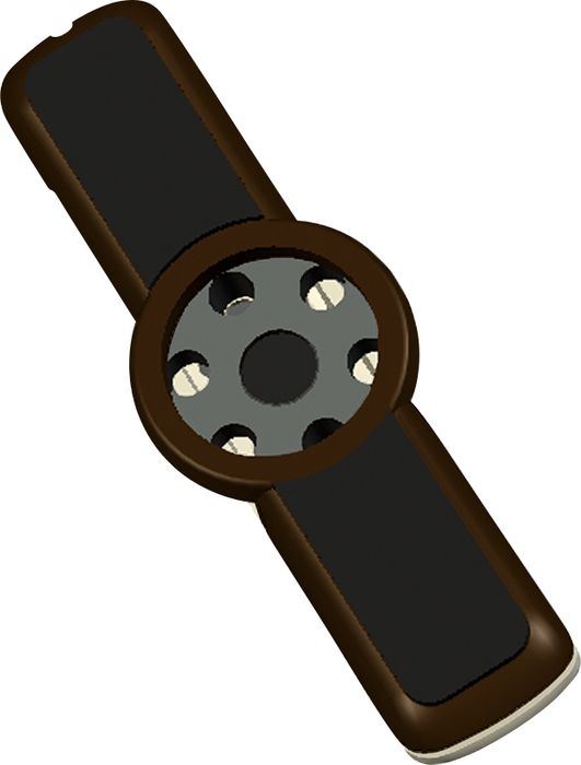 LR Baggs Anthem Tru-Mic Acoustic Microphone/Piezo Pickup System