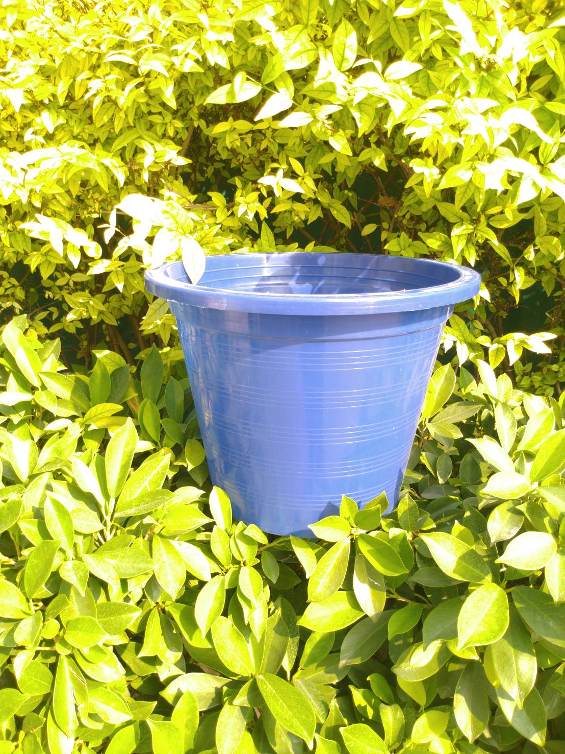 กระถางกลม 12 นิ้ว 1 ใบ (เลือกสีได้)