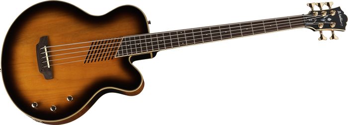 Washburn AB45 5-String Acoustic-Electric Bass Vintage Sunburst