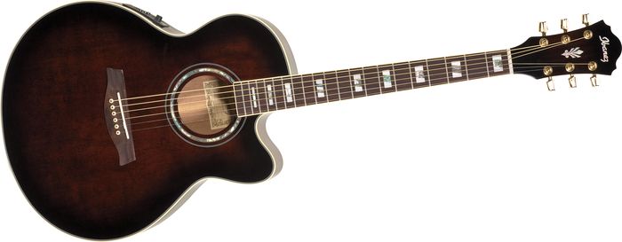Ibanez AEL30SE Acoustic Electric Guitar