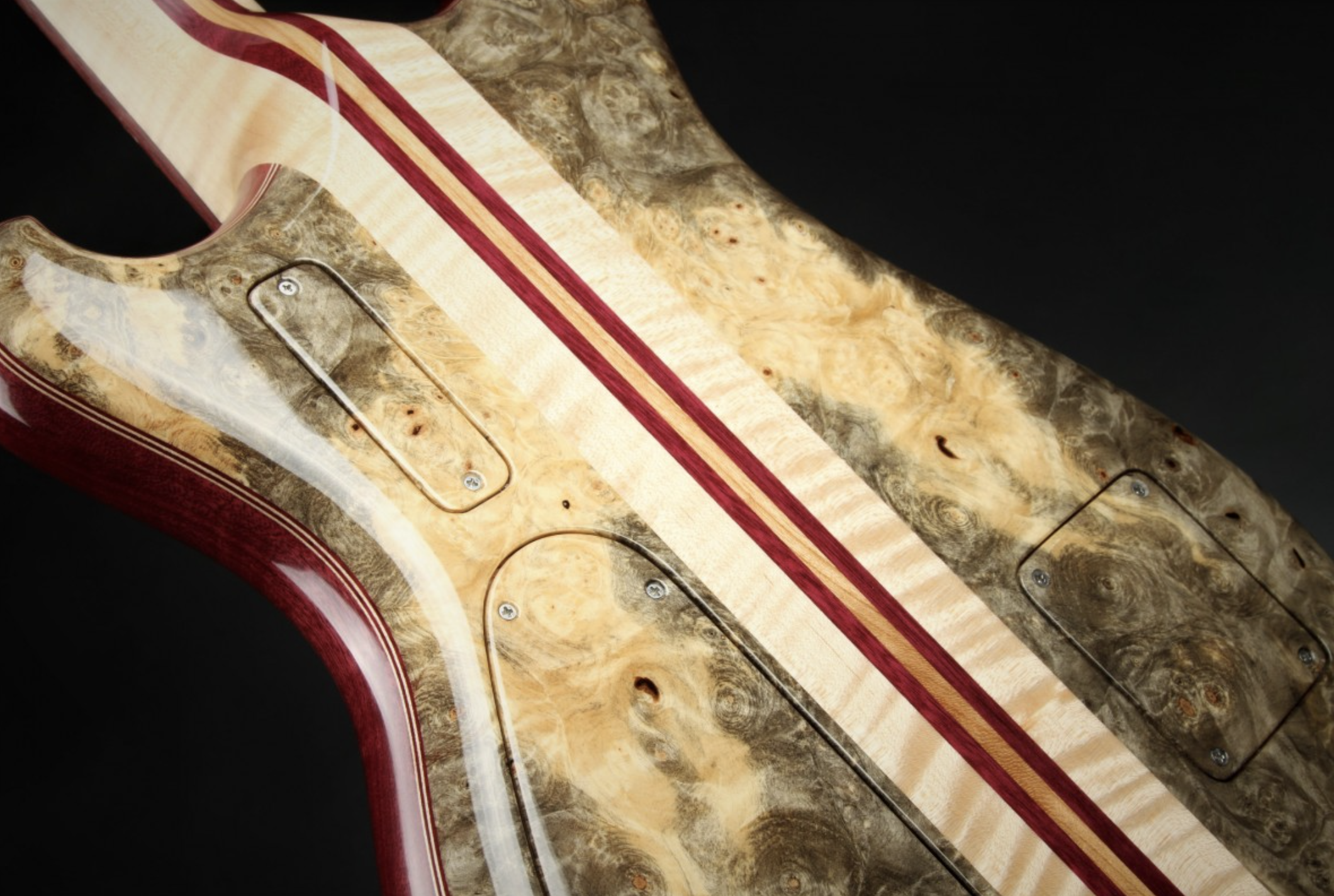 Alembic Further - Buckeye Burl