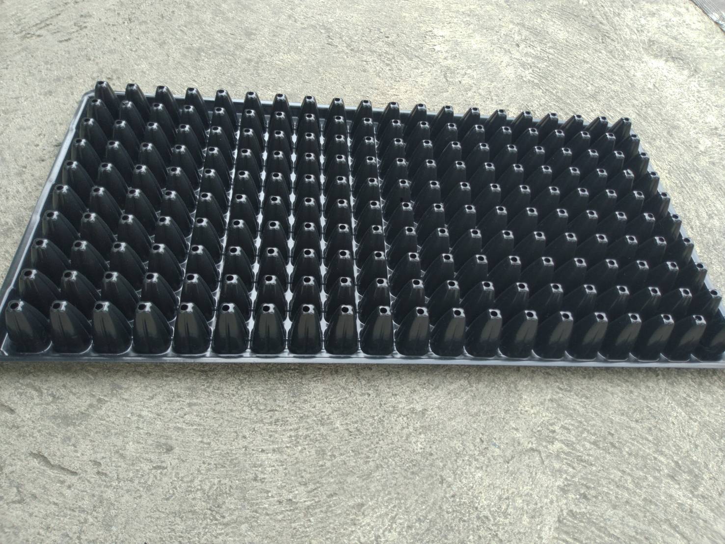 ถาดหลุมเพาะกล้าสีดำ 200 หลุม