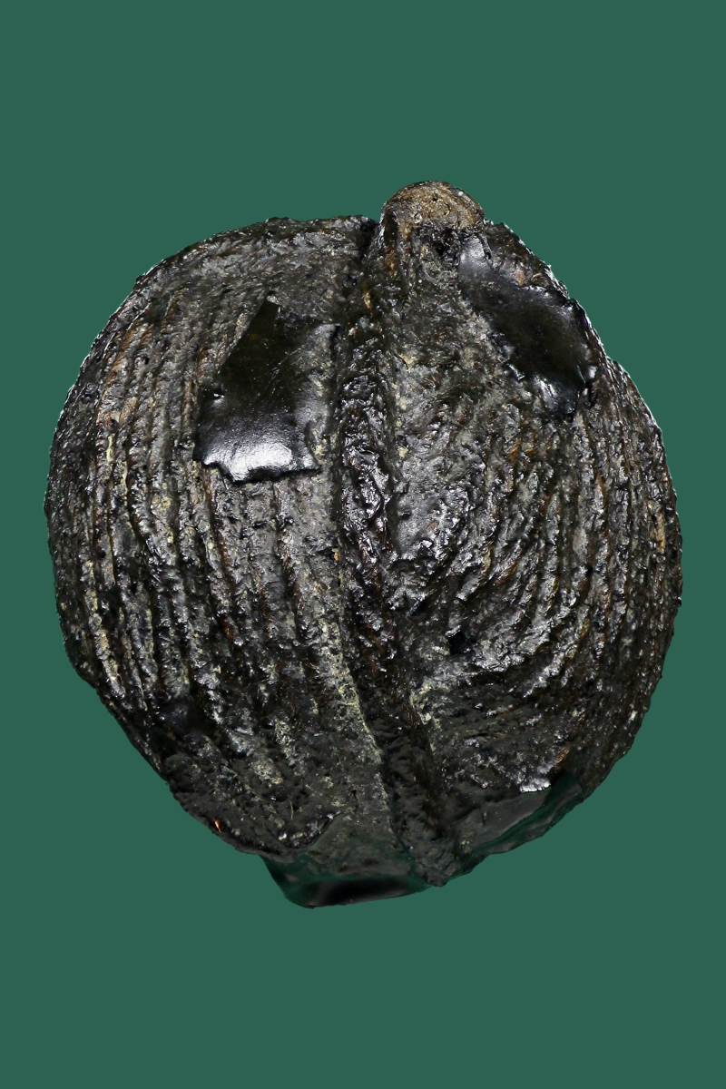 ลูกอมด้ายสายสิญจน์หลวงปู่ยิ้ม วัดหนองบัว จ.กาญจนบุรี