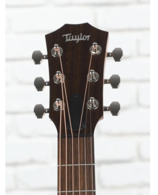 Taylor GTe Urban Ash Acoustic-Electric Guitar - Natural