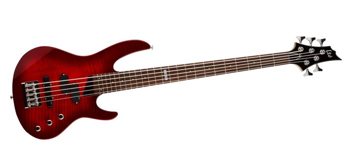 ESP LTD B-55 Electric Bass Guitar