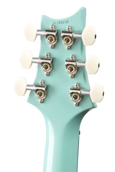 PRS DGT Standard with Birds Electric Guitar