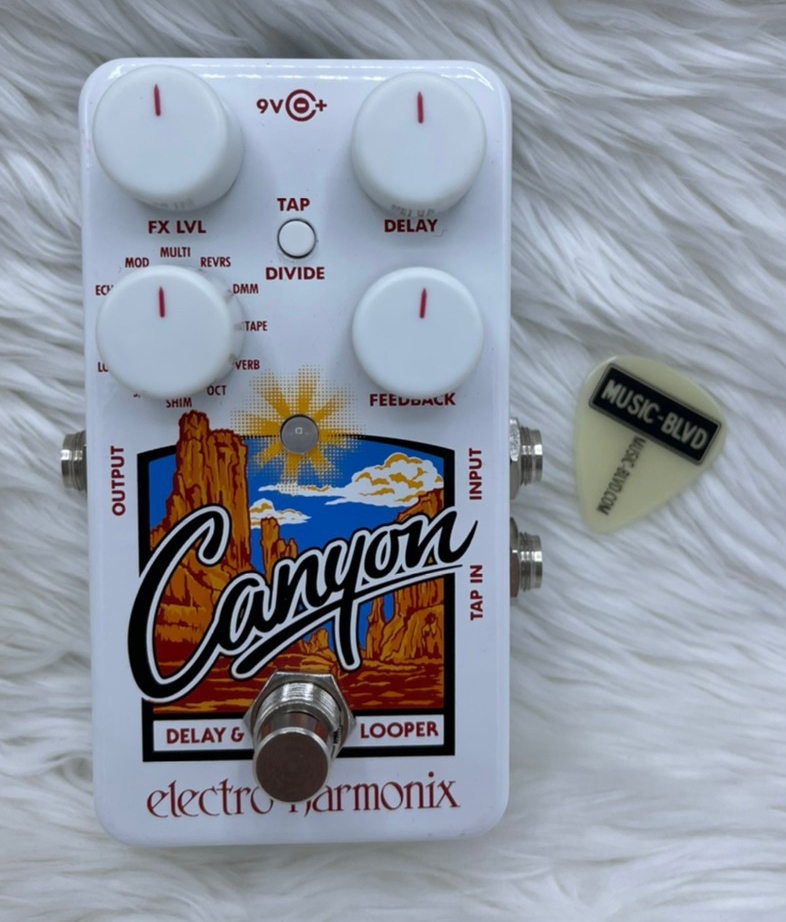 Electro-Harmonix Canyon Delay & Looper