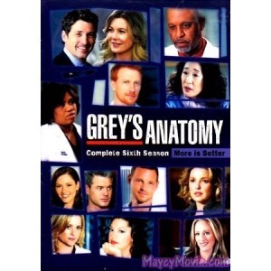 Grey Anatomy ( ปี6 ) ซับไทย 6 Dvd