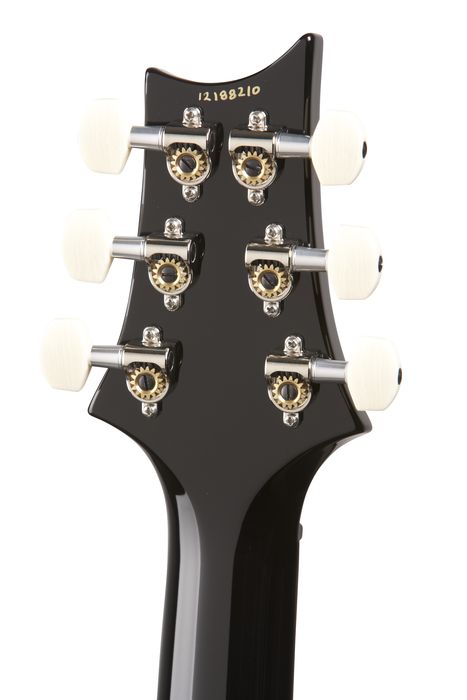 PRS DGT Standard with Birds Electric Guitar