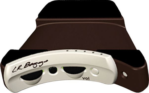 LR Baggs Anthem Tru-Mic Acoustic Microphone/Piezo Pickup System