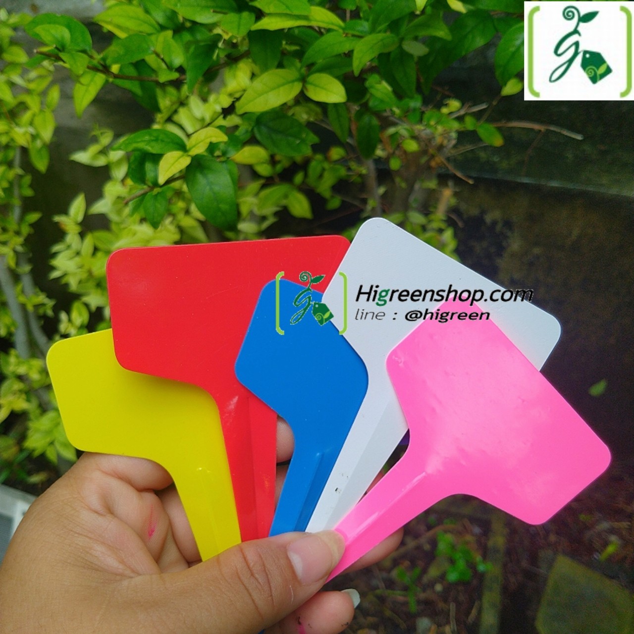 ป้ายปักชื่อต้นไม้ (แบบเงา) แพ็ค 10 ชิ้น