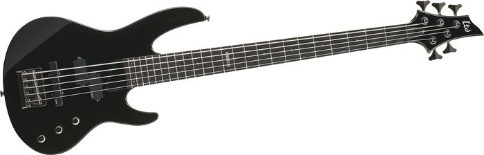 ESP LTD B-55 5-String Bass Guitar