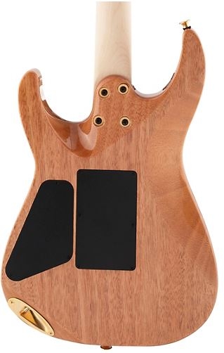 Charvel Pro-Mod DK24 HH FR M QM Electric Guitar