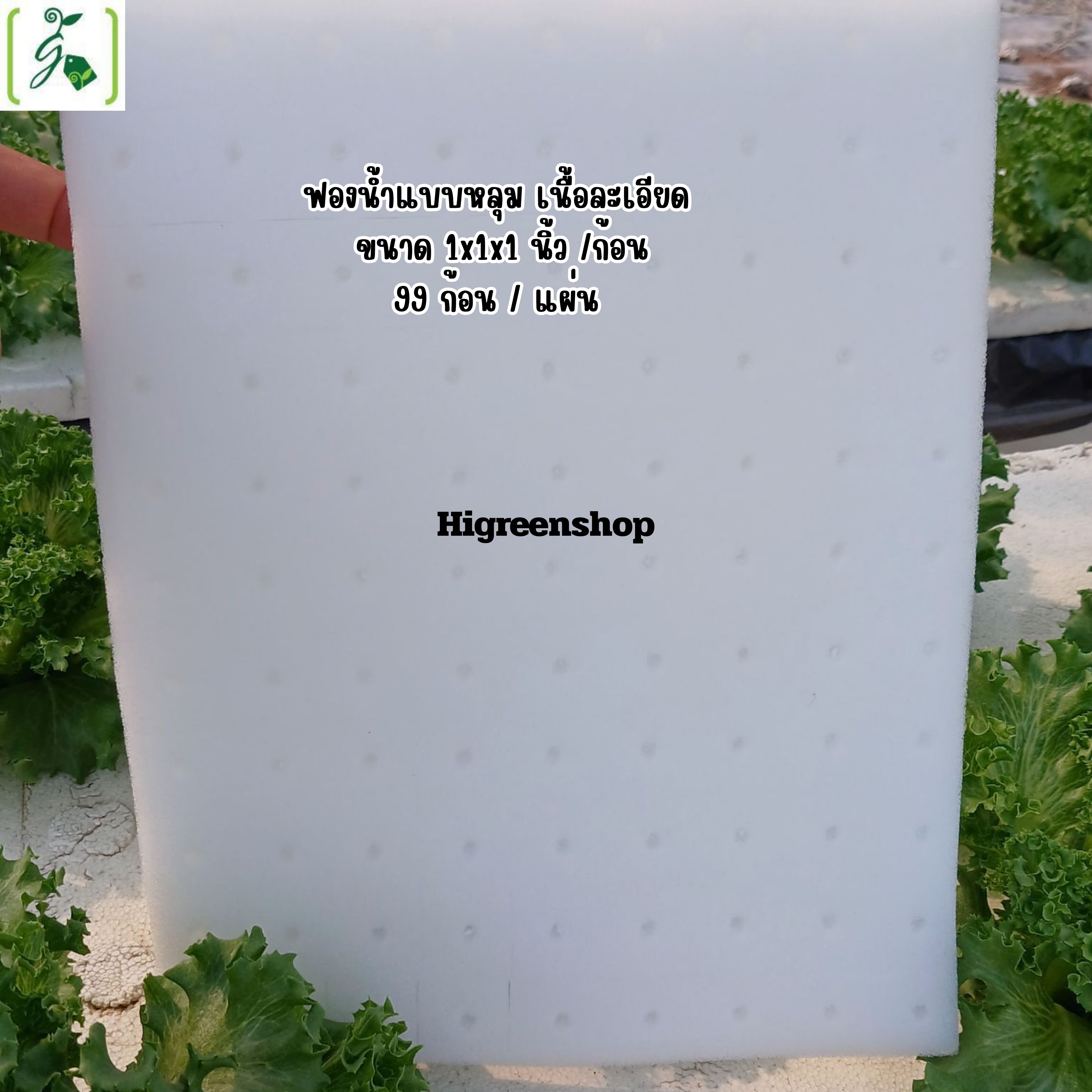 ฟองน้ำแบบหลุม เนื้อละเอียด ขนาด 1x1x1 นิ้ว (99 ช่องปลูก / แผ่น)จำนวน 1 แผ่น