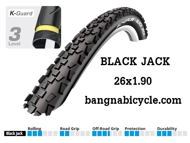 ยางนอก Schwalbe 26 x 2.10 BLACK JACK