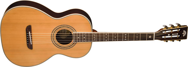Washburn WP26SNS
