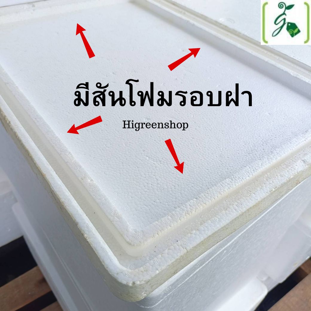 ฝากล่องกุ้ง (เฉพาะฝา) ฝามือ 2 ผ่านการใช้งาน มี 2 รุ่นให้เลือก เลือกเจาะรูได้