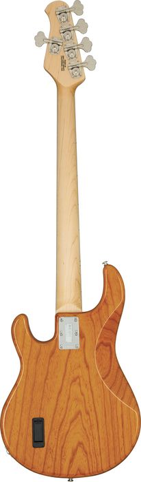 Music Man StingRay 5-String Bass Guitar
