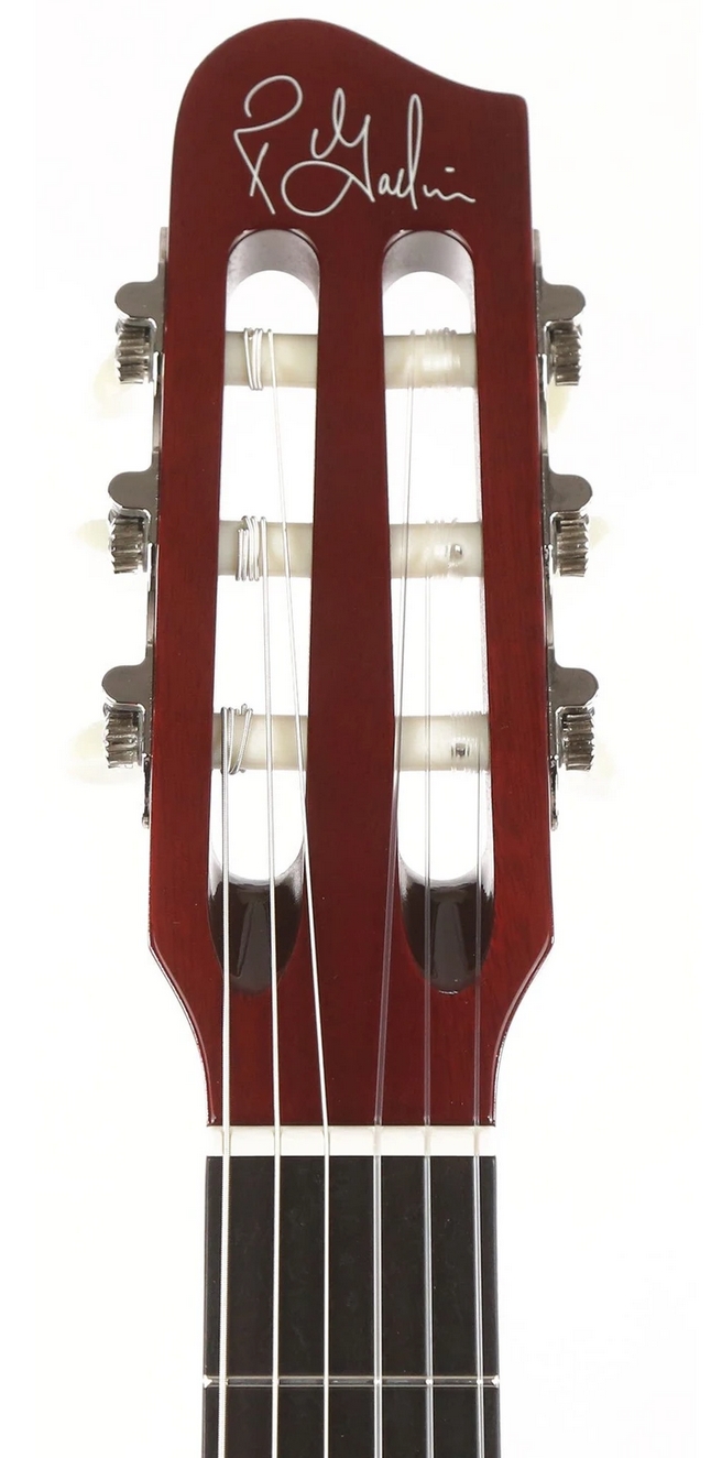 Godin ACS Denim Blue Flame Limited Edition