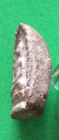 พระ ปรกโพธิ์ ข้างเม็ด กรุวัดโมลีโลก ฝั่งธนบุรี กรุงเทพฯ พิมพ์สมาธิ หลังยันต์ เนื้อดินพุทธคุณผสม พระแท้สวย สนใจโทรสอบถามที่ 0619783836.. 0805587175 ส่งEMSในประเทศฟรีคะ