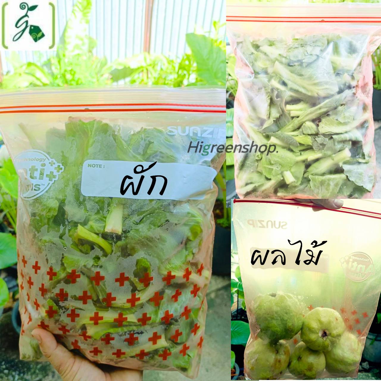 ถุงซิปแอนตี้ไวรัส ถุงซิปล็อค SUNZIP Anti Virus Zipper bag