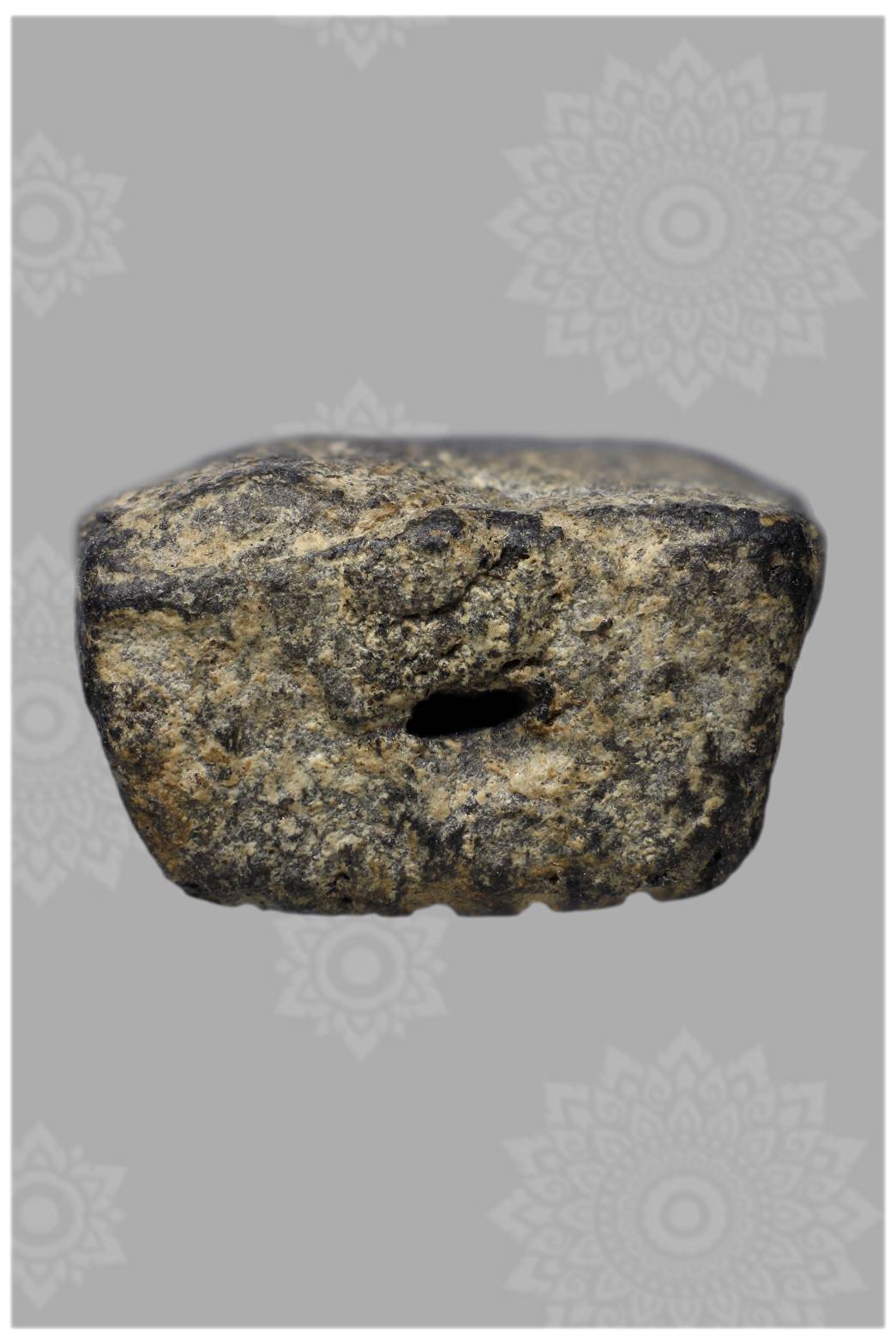 พระหลวงปู่ทวด พิมพ์พระรอด 2497