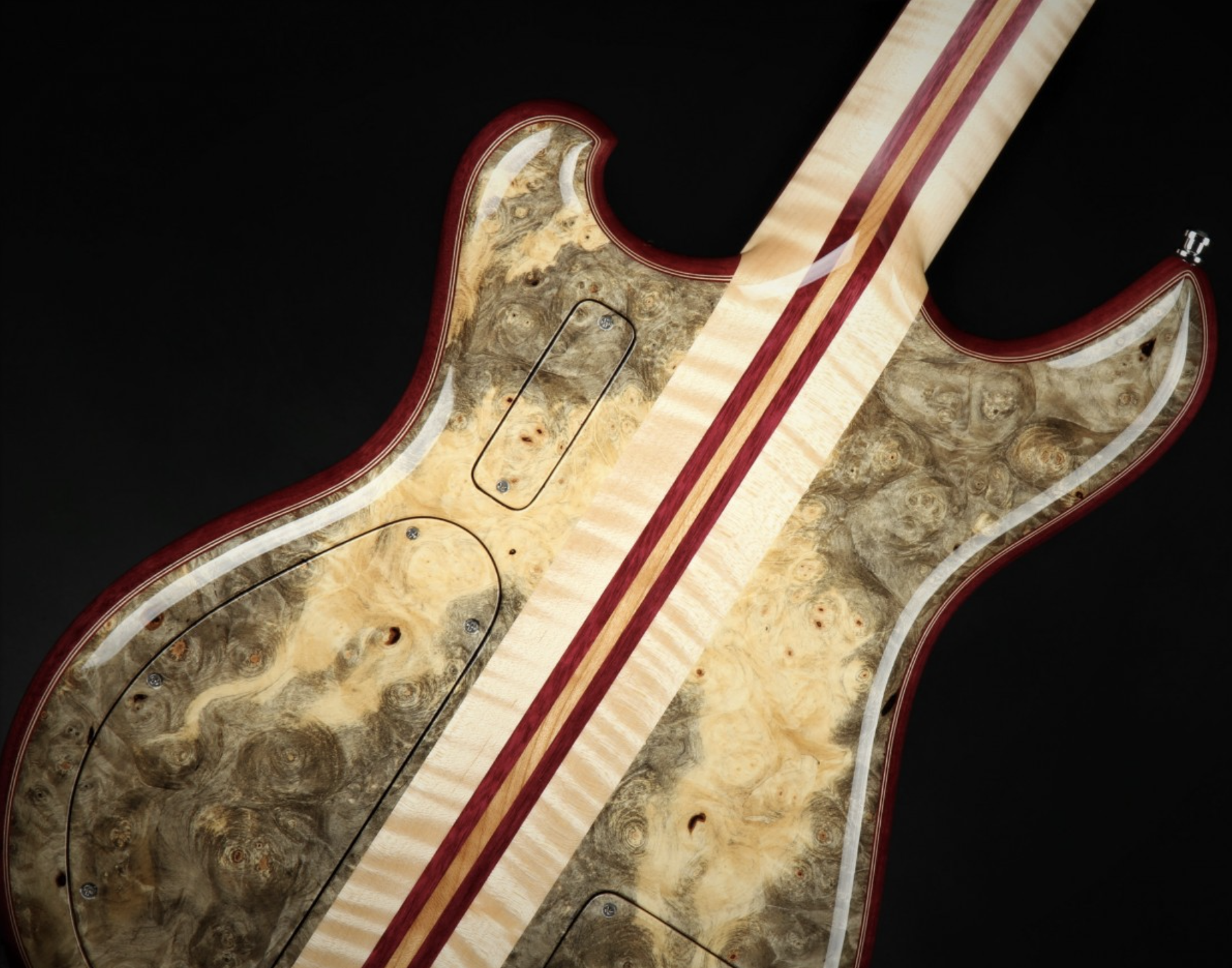 Alembic Further - Buckeye Burl