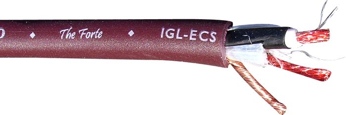 Evidence Audio The Forte Instrument Cable