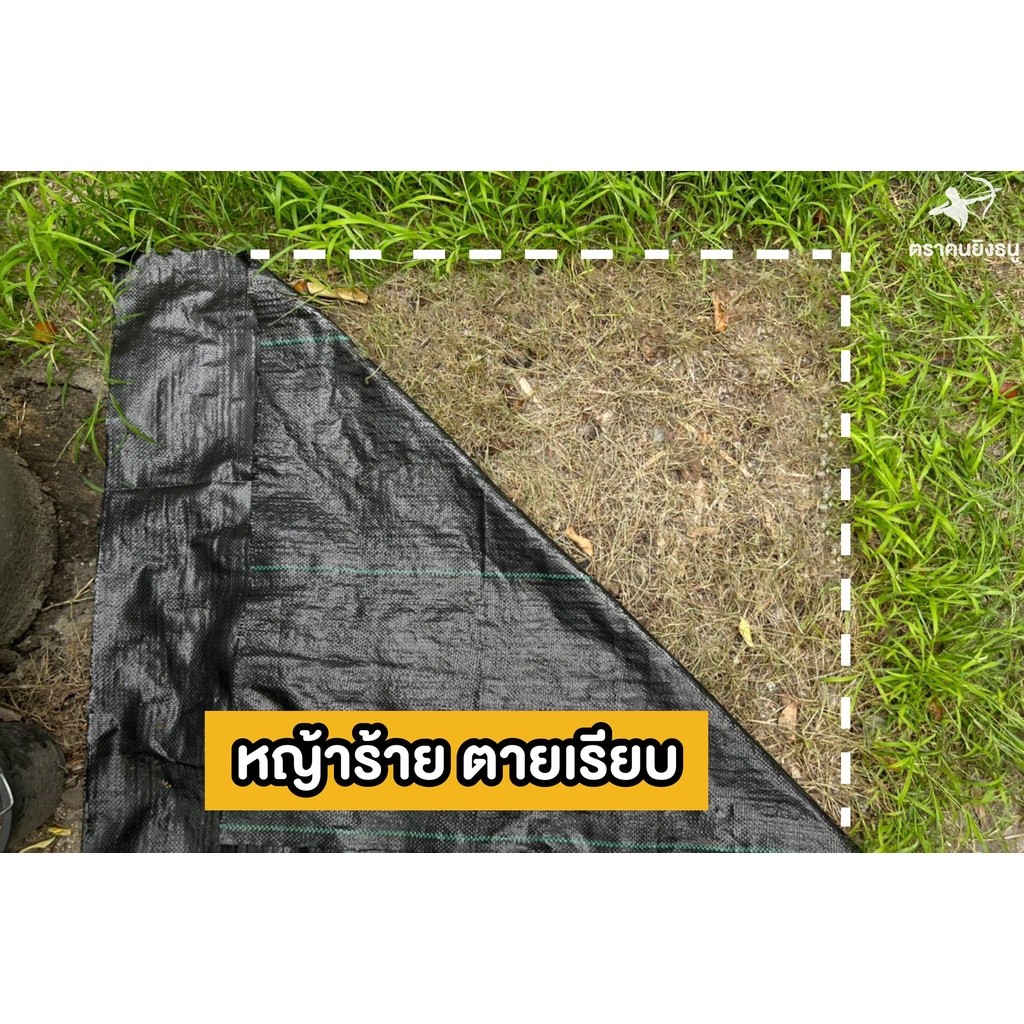 พลาสติกคลุมวัชพืช ขนาดหน้ากว้าง 1 เมตร แบ่งขายความยาวตามต้องการ
