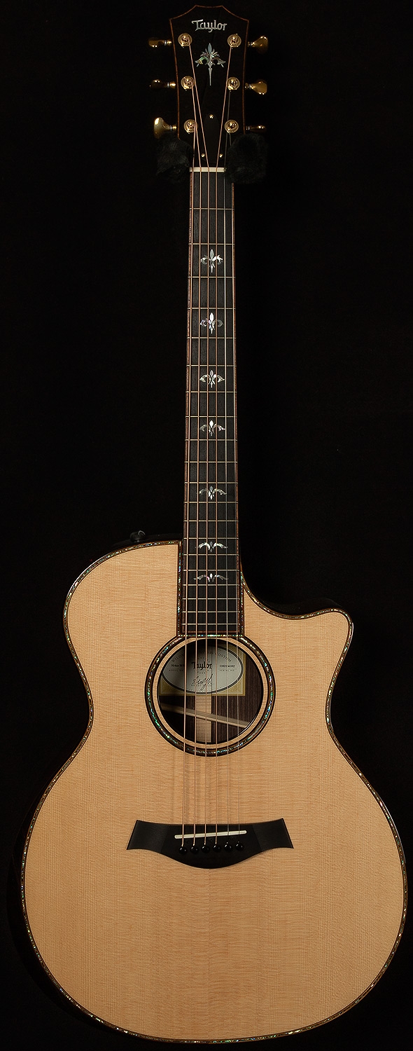 Taylor Wildwood Adirondack 914CE
