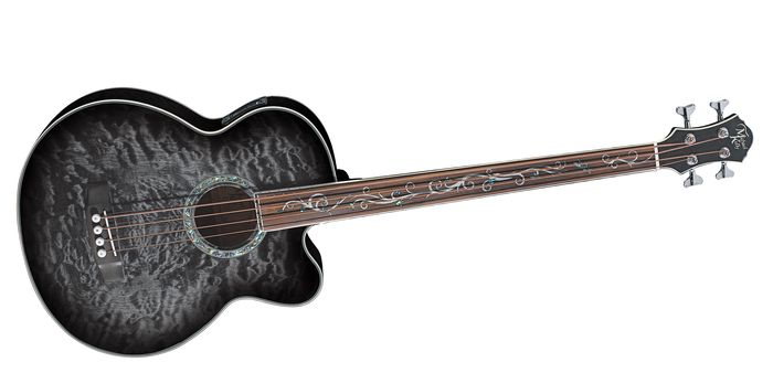 Michael Kelly Dragonfly 4 Fretless Acoustic Bass