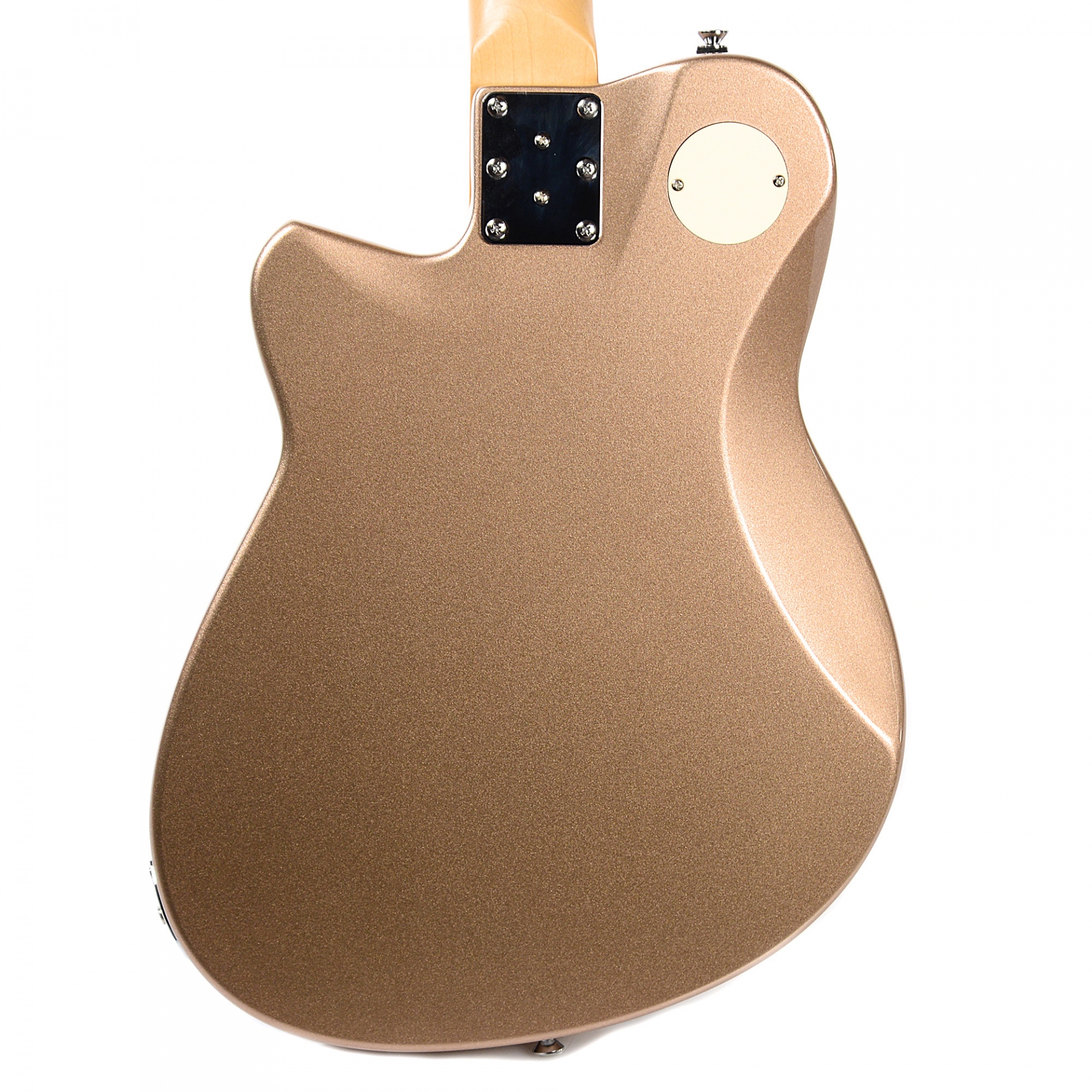 Reverend Charger 290 Lakeshore Gold w/Bigsby (Limited Edition CME Exclusive)