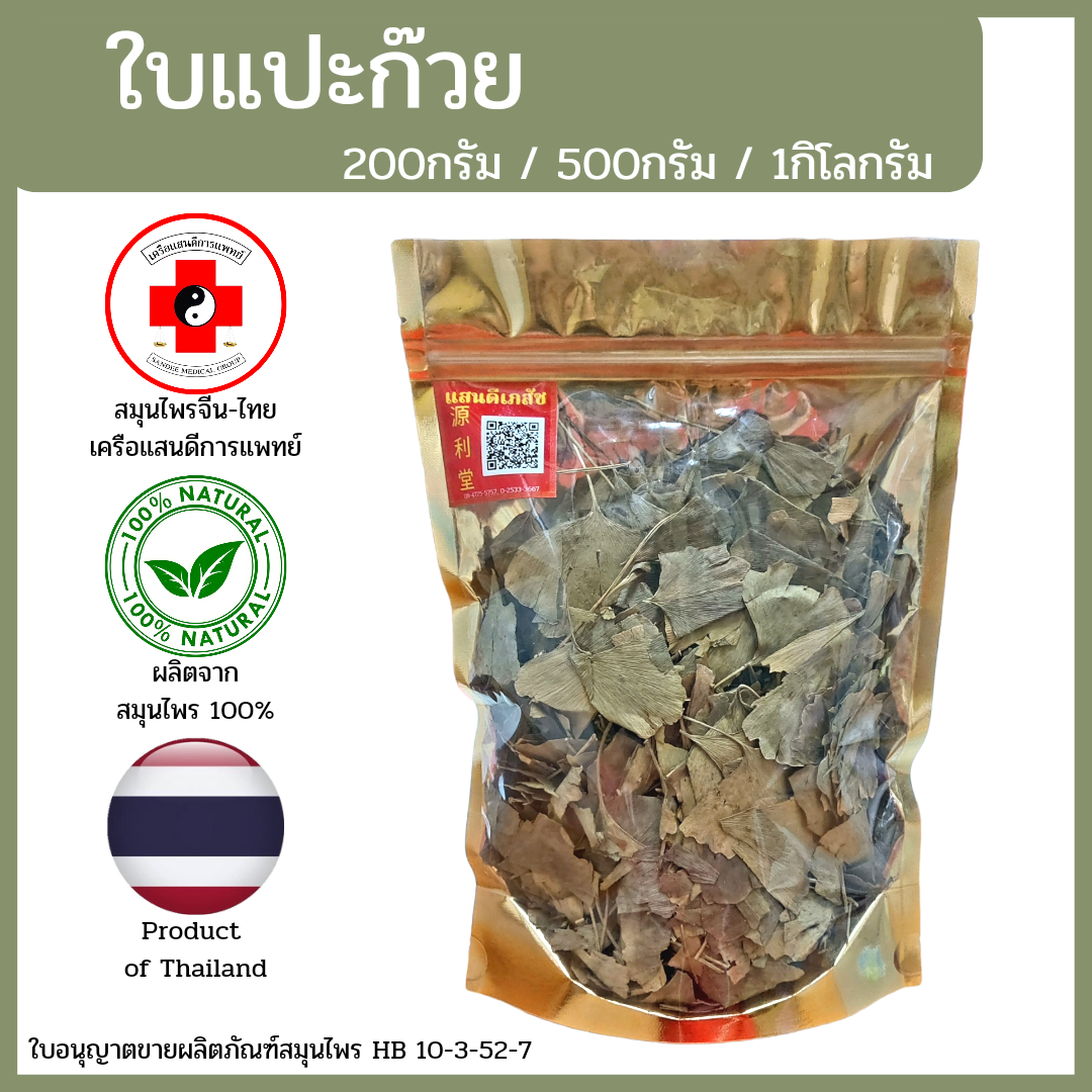 [แสนดีเภสัช] สมุนไพร ใบแปะก๊วย อย่างดี