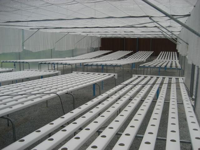 ชุดปลูก NFTไม่มีหลังคา-25 รางเปิด (หนา) 5 เส้น ยาว 1 เมตร ไม่มีหลังคา สามารถปลูกผักสลัดได้ 23 ต้น