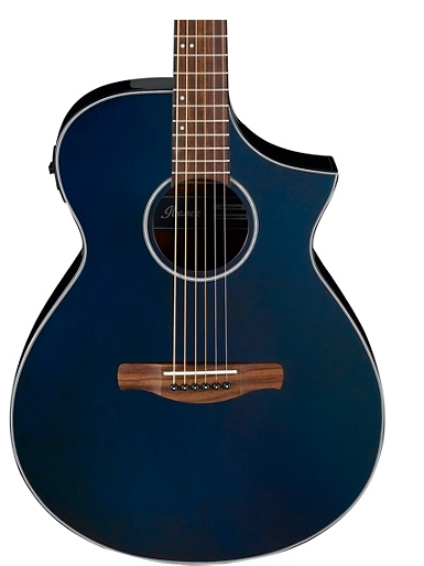 Ibanez AEWC10 Acoustic-Electric Guitar