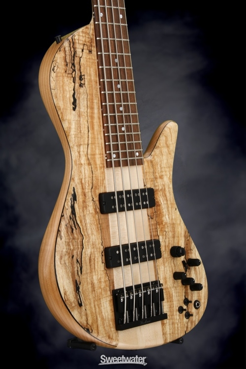 Fodera Emperor 5 Standard Special - Limited Run, Spalted Maple