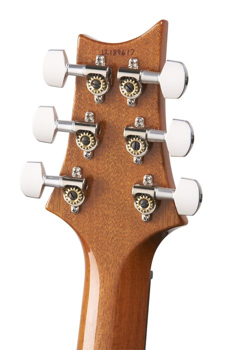 PRS Al Dimeola Prism Electric Guitar Prism