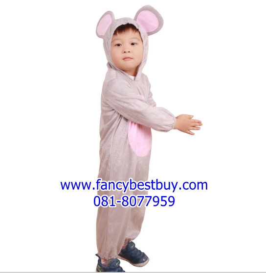 ชุดแฟนซีหนู ชุดแฟนซีสัตว์เด็ก ใช้ได้ทั้งเด็กชายหญิง แบบนี้เป็นสวมจากด้านหลัง มี ขนาด 110, 120